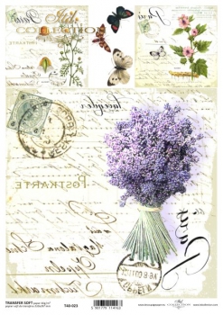 Papier do transferu Soft (HS code 48062000) T4023
